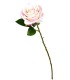 FLEUR ROSE TIGE 65CM ASSORT.les 36P