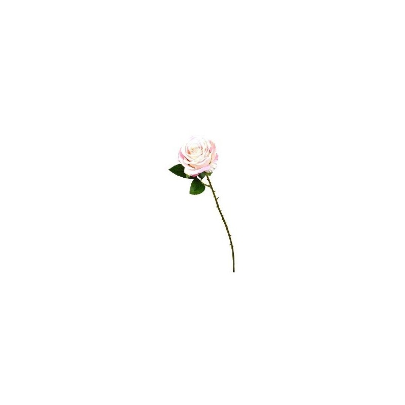 FLEUR ROSE TIGE 65CM ASSORT.les 36P