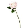 FLEUR ROSE TIGE 65CM ASSORT.les 36P