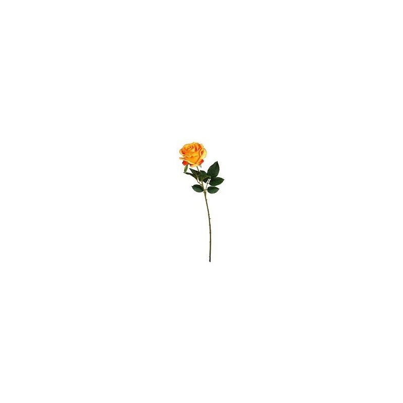 FLEUR ROSE TIGE 65CM ASSORT.les 36P