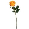 FLEUR ROSE TIGE 65CM ASSORT.les 36P
