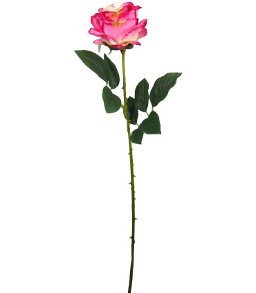 FLEUR ROSE TIGE 65CM ASSORT.les 36P