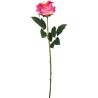 FLEUR ROSE TIGE 65CM ASSORT.les 36P