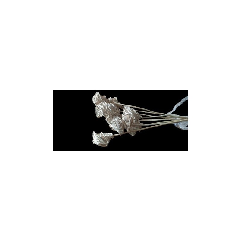 LATA TORCHE sac 10P