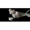 LATA TORCHE sac 10P