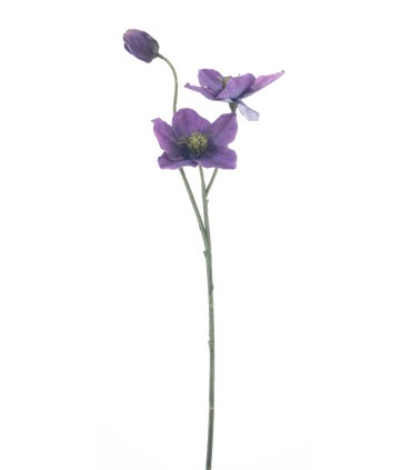 FLEUR HELLEBORE SUR TIGE 56CM à la pièce