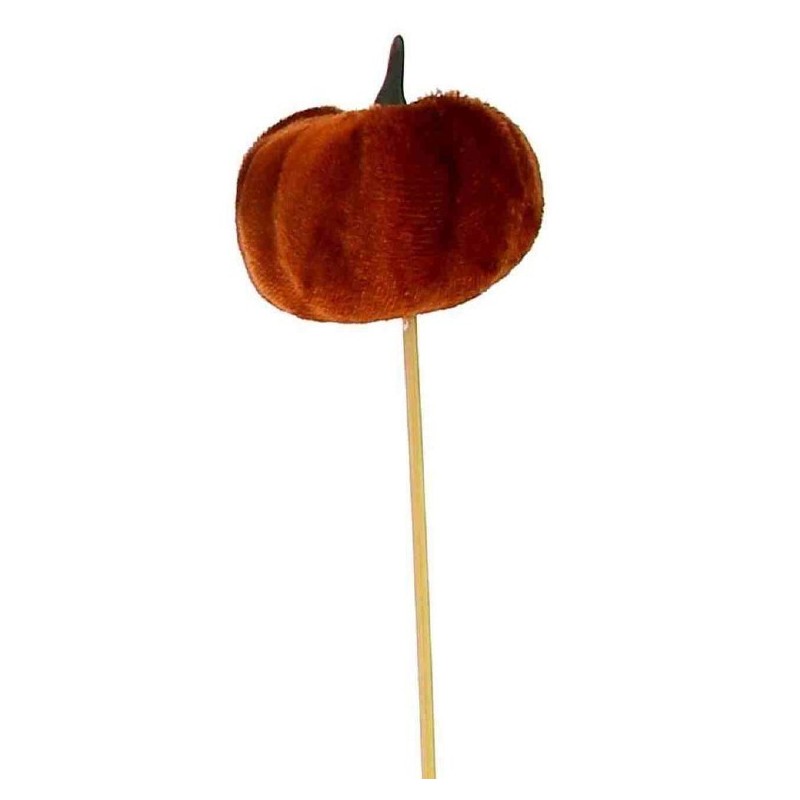 CITROUILLE ORANGE SUR PIQUE les 12P