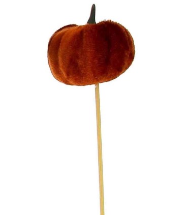 CITROUILLE ORANGE SUR PIQUE les 12P