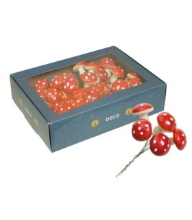 CHAMPIGNON ORANGE diam 40MM /48P