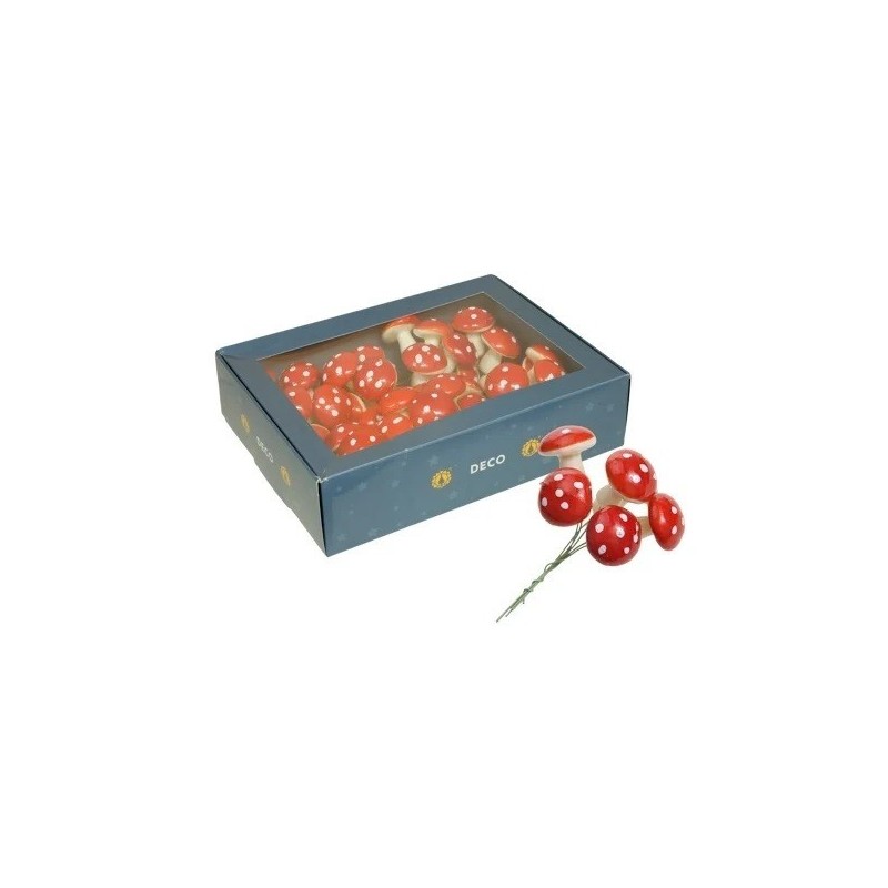 CHAMPIGNON ORANGE diam 40MM /48P