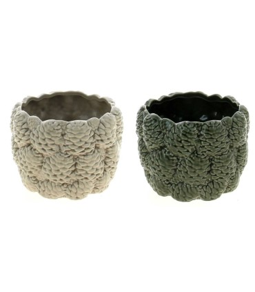 C.POT POMME DE PIN 012.6 H9.3CM les 4P