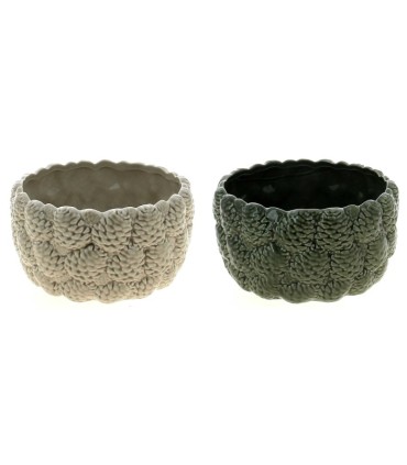 COUPE POMME DE PIN 018.3 H9.6CM à la pièce