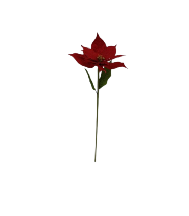 FLEUR POINSETTIA ROUGE 035 H105CM à la pièce