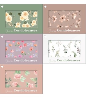 JESO CARTE "COLORA" les 10P