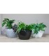 JARDINIERE ORCHIDEE  012cm /2P