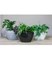 JARDINIERE ORCHIDEE  012cm /2P