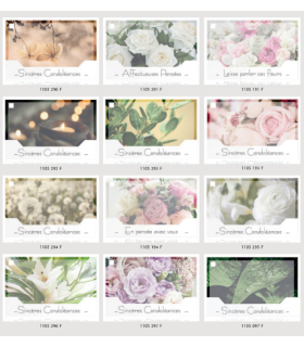 JESO CARTE "SILENZIO" / 10P