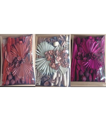 EXOTIQUE assortiment SECHE / BOITE