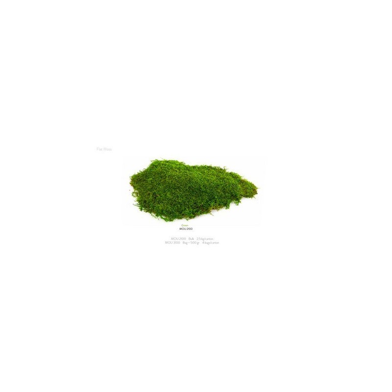 VERDISSIMO-MOUSSE PLATE VERTE sachet 500gr