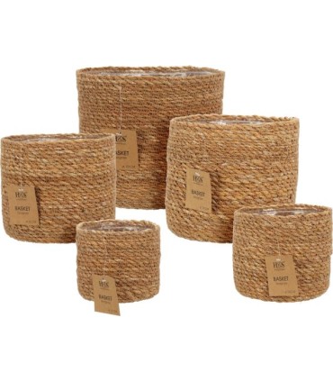 C.POT OSIER NATUREL 010 à 018CM SET 5P