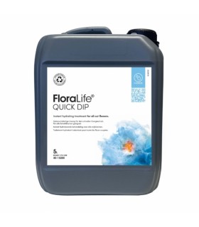 OASIS FLORALIFE QUICK DIP réhydratation 5L