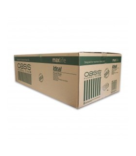 OASIS MOUILLABLE IDEAL EURO 35 10-01435