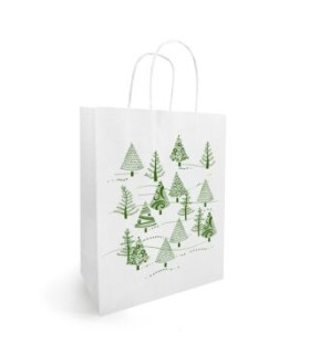 SAC KRAFT FANTAISIE MEDIUM 25X12X31 les 50P