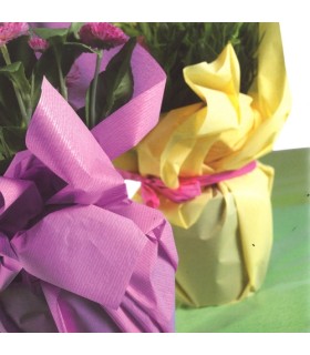 PAPIER POLYMAT FANTAISIE 70CM X 50M