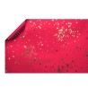 PAPIER  BICOLORE 70cm x 50M