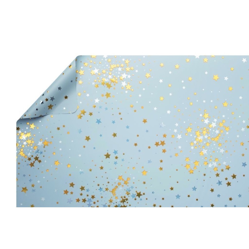 PAPIER  BICOLORE 70cm x 50M
