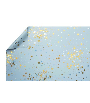 PAPIER BICOLORE 70cm x50M