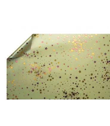 PAPIER BICOLORE 70cm x50M