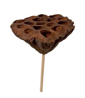 FLEUR DE LOTUS SUR PIQUE 07-10CM les 24P