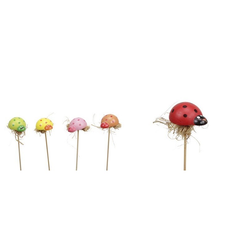COCCINELLE+RAPHIA SUR PIQUE / 72P