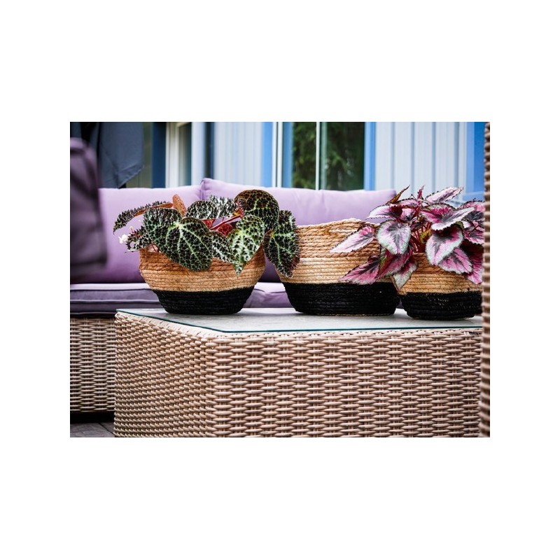 JARDINIERE ANSE 0037 à 027CM SET 3P