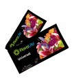 OASIS FLORALIFE les 1000 sachets 10gr EXPRESS (dosage 1 litre)