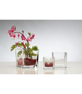 VERRE CUBE 10X10 H10CM à la pièce    (6)