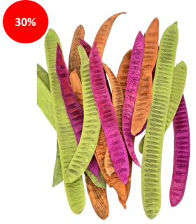 SECHE STEP FRUIT assortiment 20P