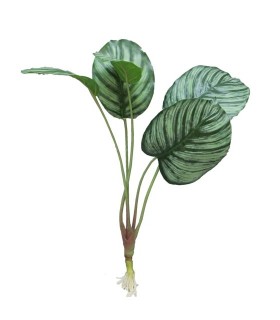 FEUILLE CALATHEA + RACINE 40CM à la pièce