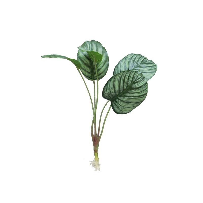 FEUILLE CALATHEA + RACINE 40CM à la pièce