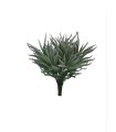 FLEUR CRASULA HIMALAYA VERT ou GRIS 15CM à la pièce