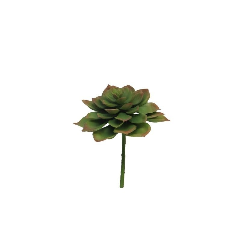 FLEUR EUCHEVERIA VERT 17CM à la pièce