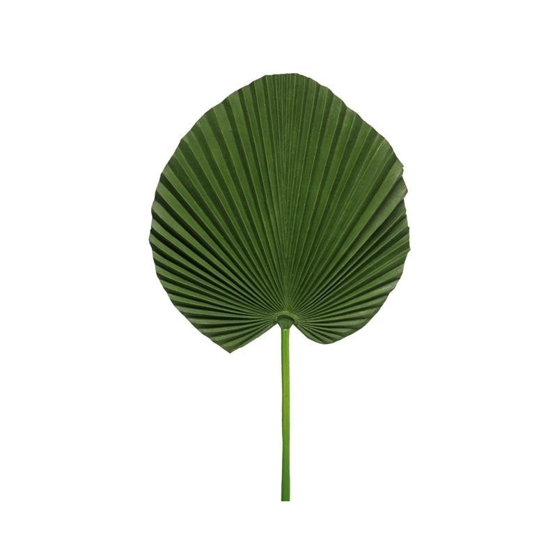 FEUILLE PALMIER VERT 78CM à la pièce