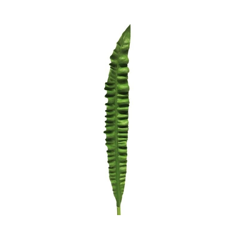 FEUILLE PHYLLITIS 93CM à la pièce