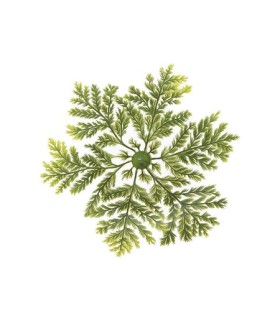 FOUGERE PLASTIQUE RONDE / 50P