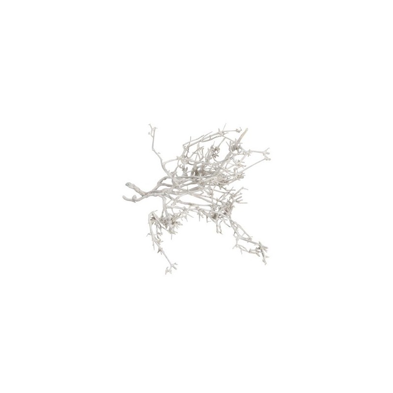BRANCHAGE SEC BLANCHI 250gr