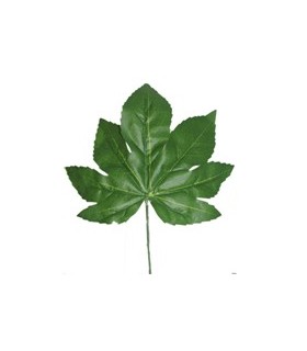 FEUILLE DE FATSIA H42CM /12P