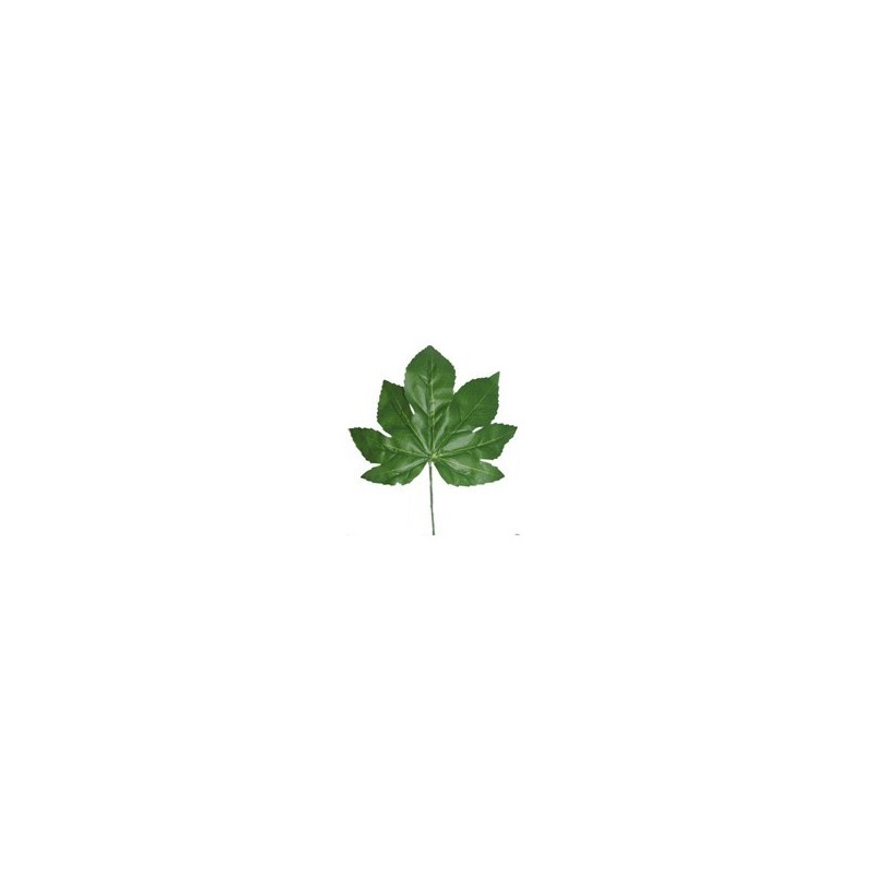 FEUILLE DE FATSIA H42CM /12P