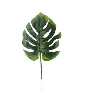 FEUILLE DE PHILO H30CM /12P