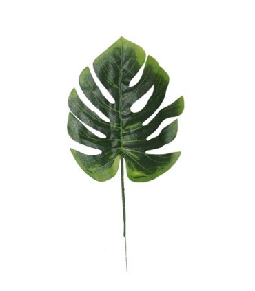 FEUILLE DE PHILO H30CM /12P